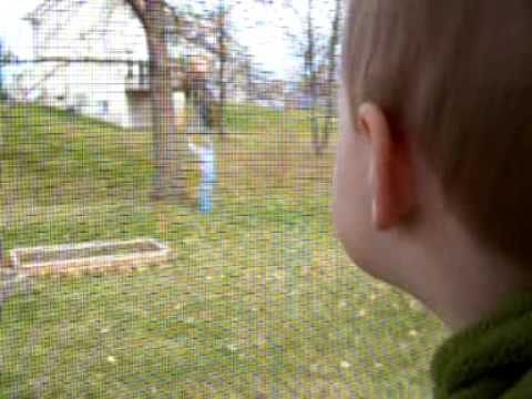 Joshua watching Dad Trim the Tree