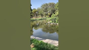 With You #music #bollywood #song #singer #hindisong #shortsvideo #travel #snow #mountains #shorts