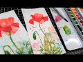 Easy Watercolor Poppies With a  Loose Background