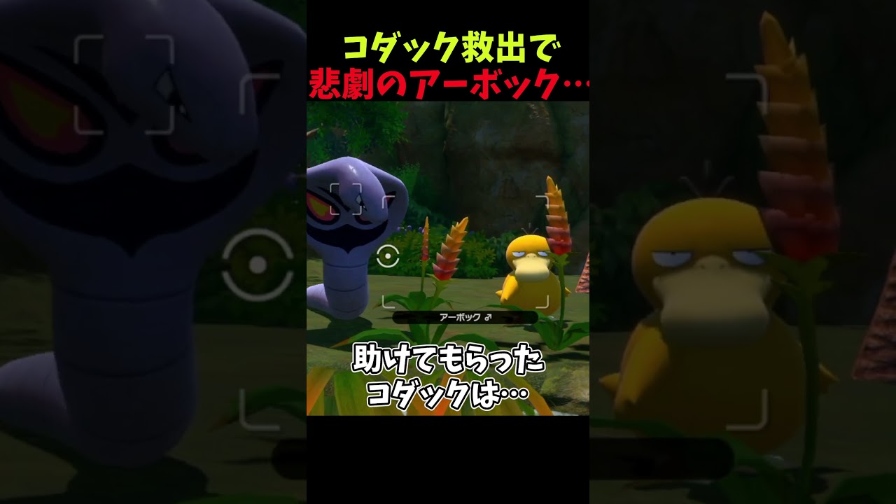 コダック救出で悲劇のアーボック…【New ポケモンスナップ】#ポケモン #shorts