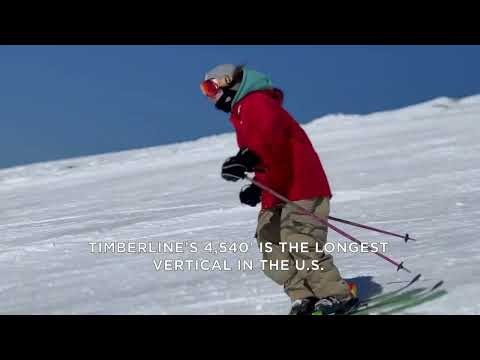 TIMBERLINE 4,540' VERTICAL