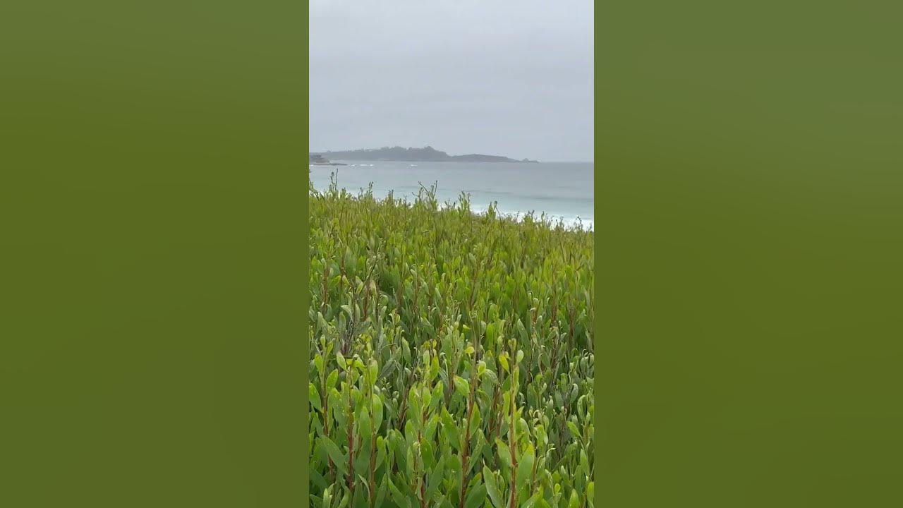 Beautiful day at the bay… bestmoments life travel america sea fresh air clean green 