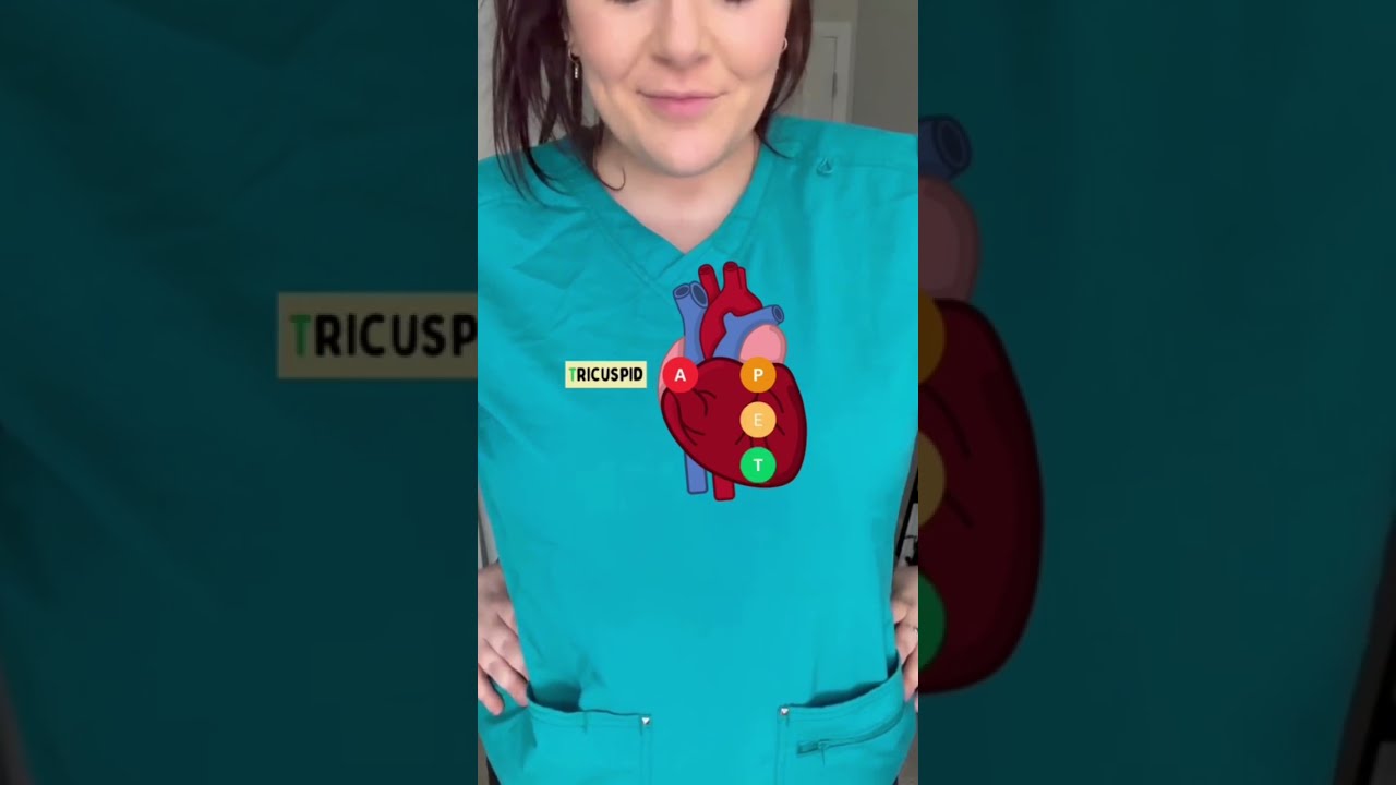 HEART AUSCULTATION SITES MADE EASY Fyp Nurse
