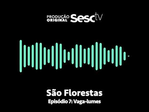 Episódio 7: Vaga-lumes