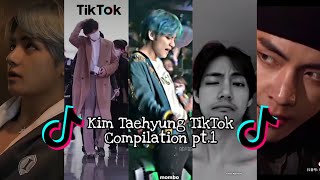 Kim Taehyung TikTok Compilation pt.1