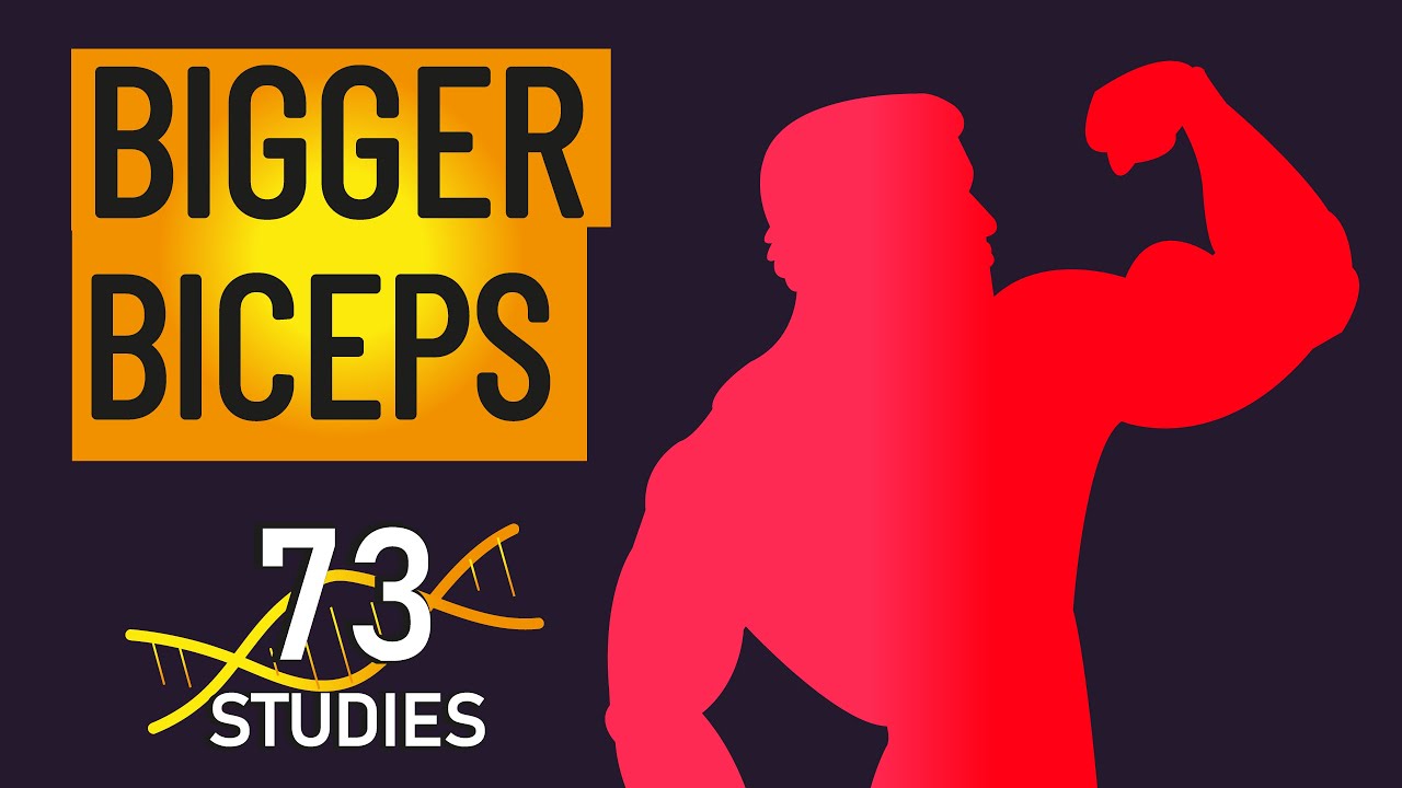 The ULTIMATE Guide to Biceps Growth (73 Studies), on YouTube