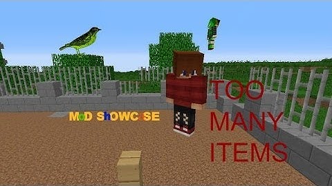 Minecraft Mod Showcase Too many items installing