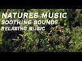 Natures Music | Soothing Sounds | Relaxing Music | Global Mantra