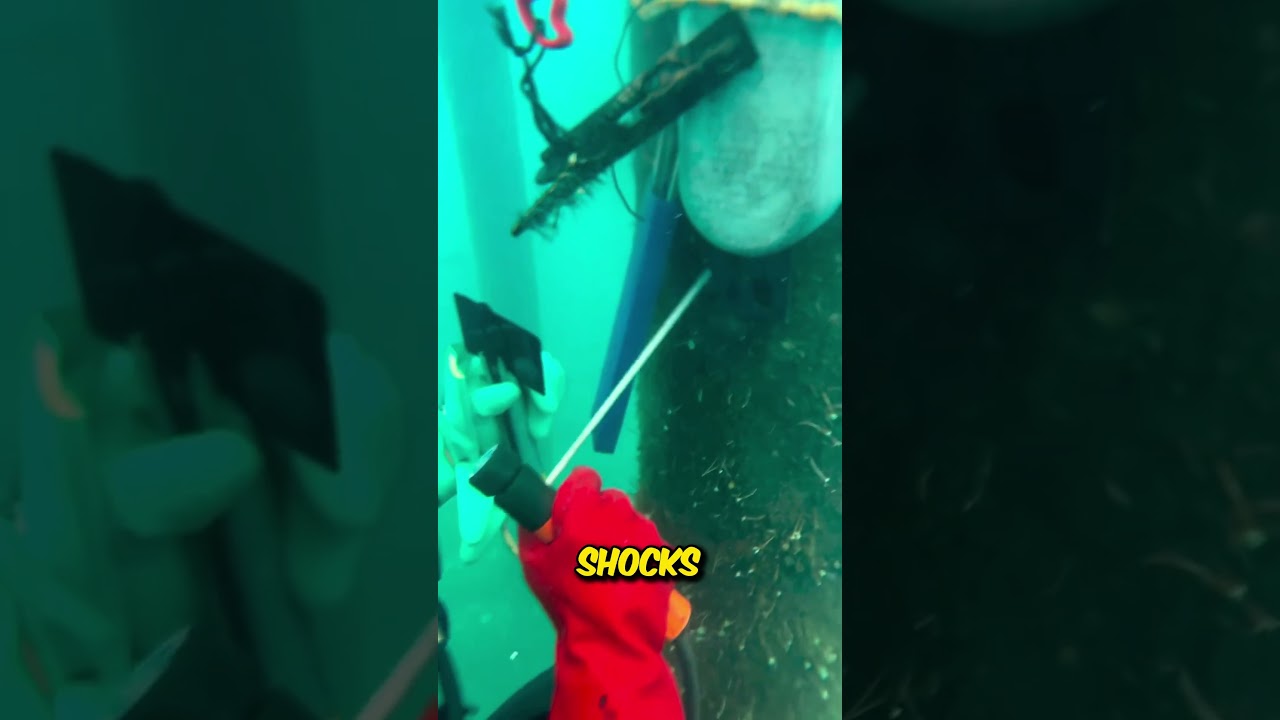 The Toughest Job in the World 🤿 (@Weldiver)