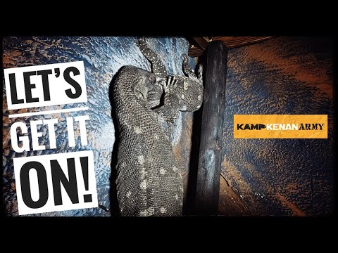 Black Throat Monitor Lizards First Date!