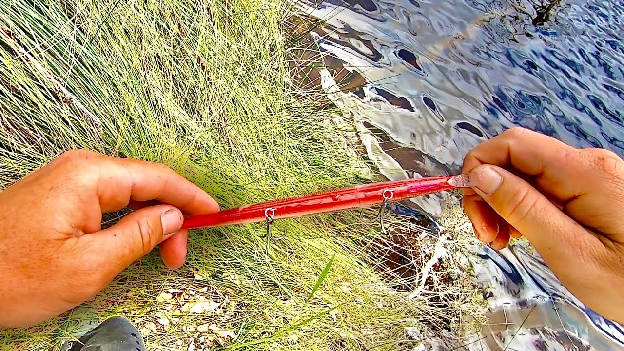 I Out fished Briggsy With This Lure