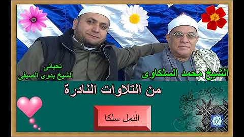 الشيخ محمد السلكاوى ما تيسر من سورة النمل بسلكا