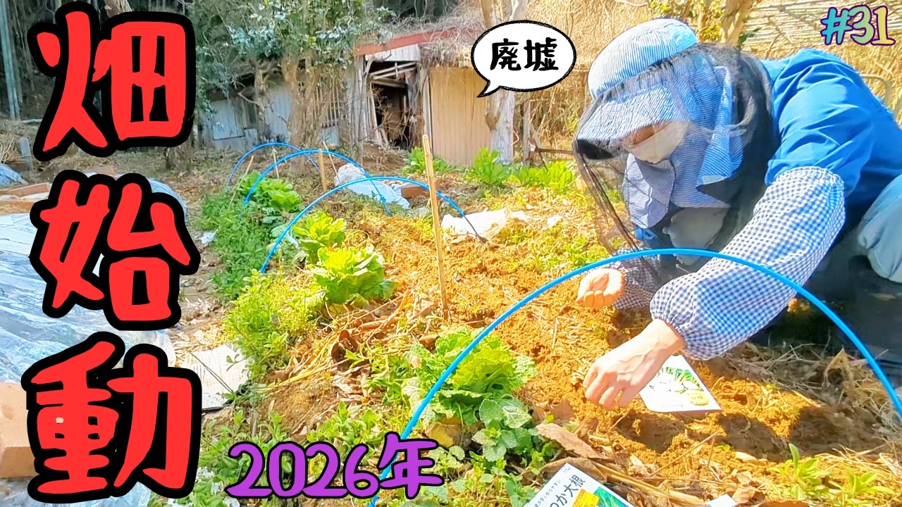 【廃墟の隣に棲む女】 ～2026年 自給自足への道 畑始めました！種まきと植菌とヌコ～#31