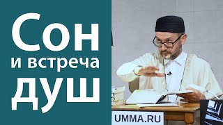 Может ли душа живого повстречаться с душой мертвого?