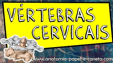 Quais são as vértebras atípica?