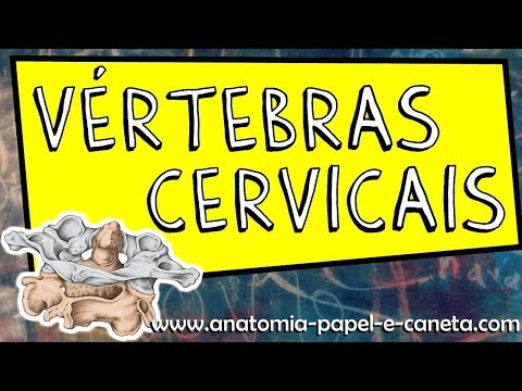 Vídeo: Quais São Os Nomes De Todas As Vértebras Cervicais