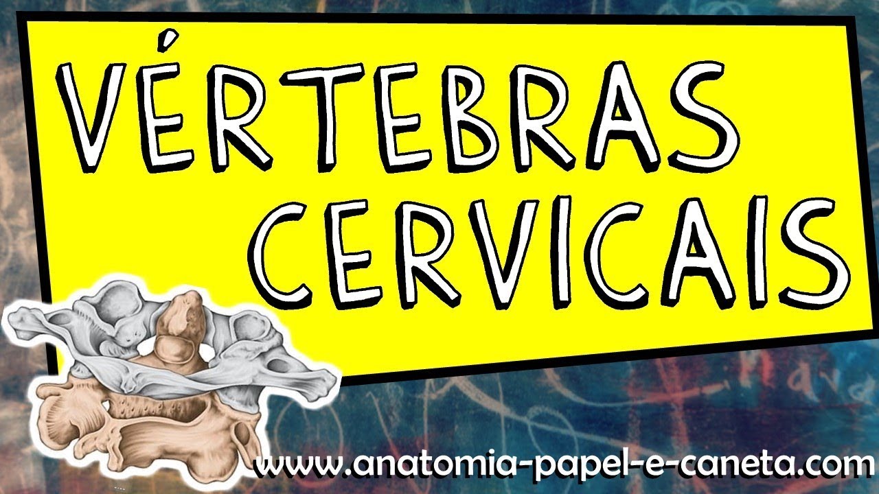 Vértebras cervicais