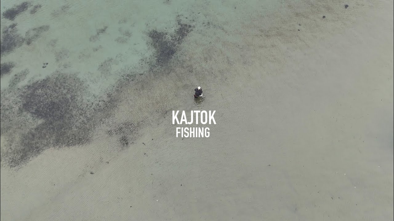 FISKE efter HAVSÖRING (Flugfiske & Spinn) - Revansch i SKÅNE 2026