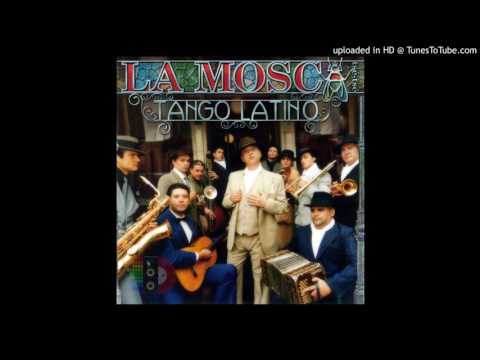 letra de la mosca tse-tse - <a href=