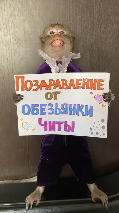 Поздравь близкого человека ♥️♥️♥️♥️♥️♥️♥️♥️♥️♥️ - YouTube