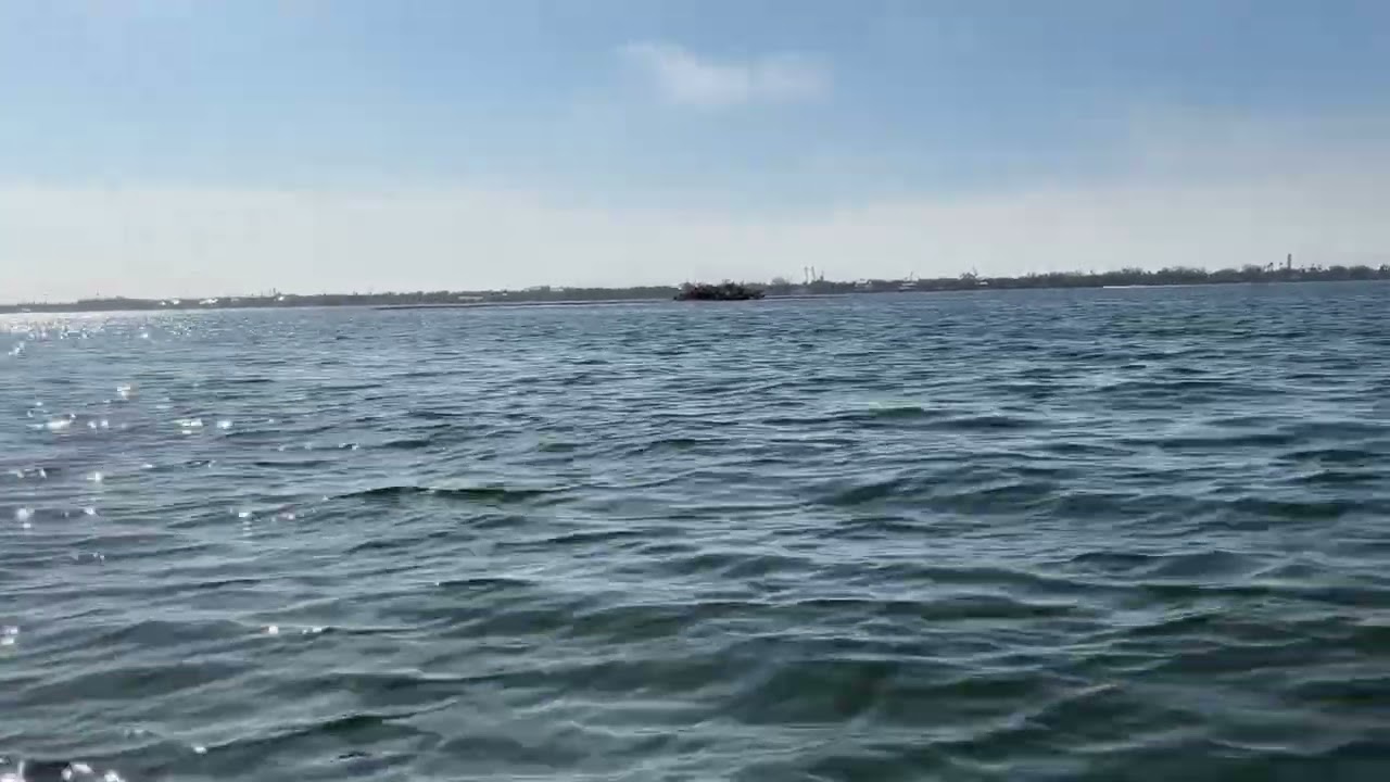 SUP Florida Lemon Bay