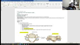 NBCE Part 1 Board Review: Spinal Anatomy | Introduction | 1