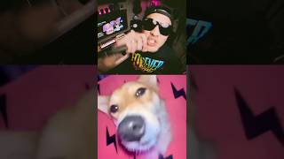 COLLAB with the cutest #APT Dog. 😍 #shorts #shortsfeed #theultimateheroes #rosé #brunomars #apt