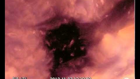 AIA 171/211 (2012-11-02 22:41:59 - 2012-11-03 22:07:35 UTC)