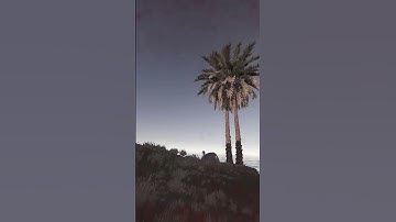 He FELL Out Of The MINICOPTER #rust #gaming #twitch #rustgame #videogames #rustislife