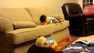 2012 1024 See how does Lily get on the couch: 看看莉莉自己研究出如何爬上沙發