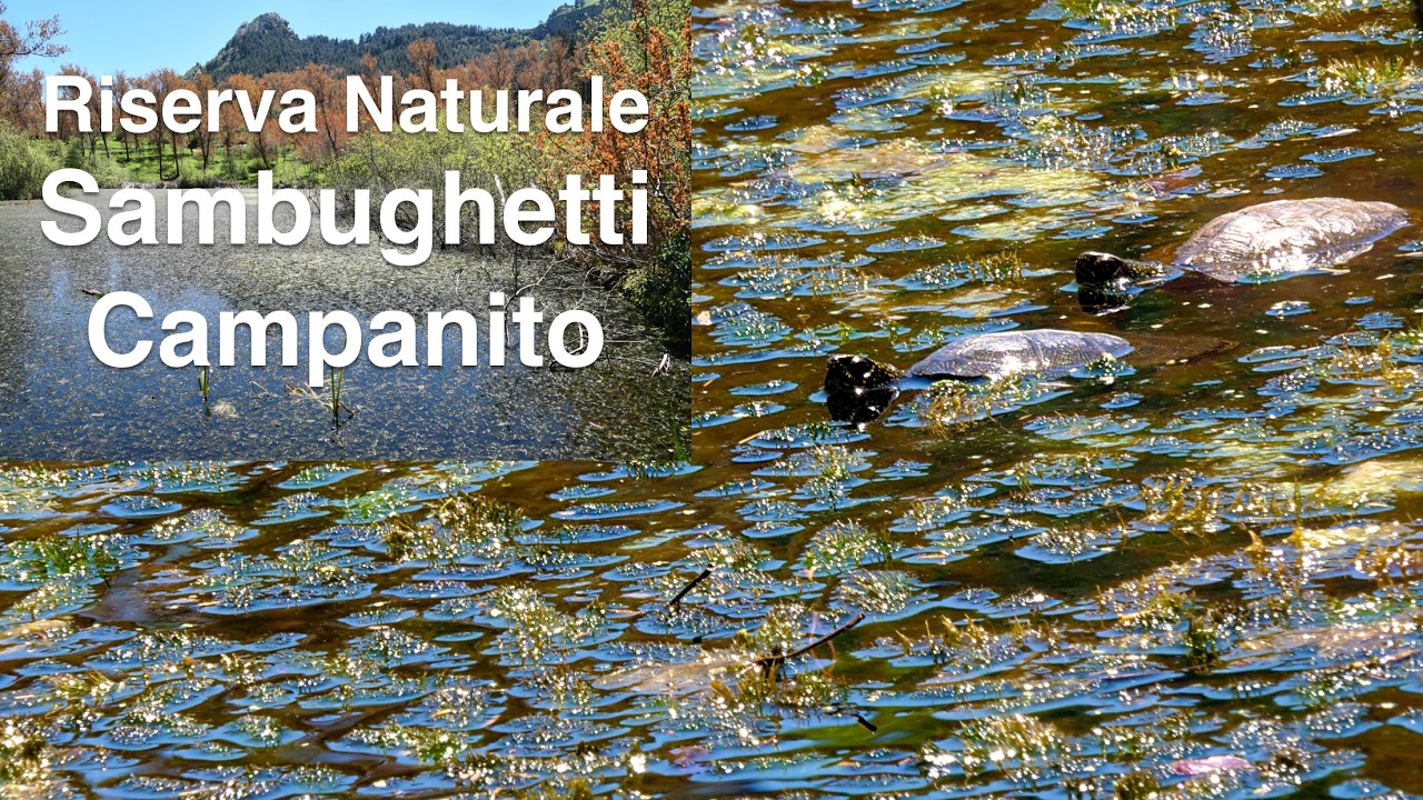 riserva naturale orientata sambuchetti campanito