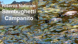 Trekking in Sicily: The Sambughetti Campanito Nature Reserve