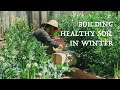 Simple ways to fertilize your vegetable garden in winter |Bokashi compost, Winter cover crops