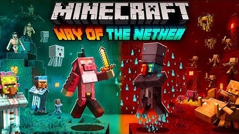 Minecraft 1.16 Adventure Map [Way Of The Nether]
