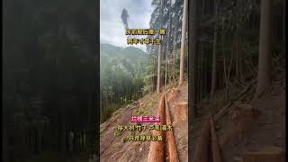 Famous Secrets to Cooking Like a Pro in 5 Easy Steps Profile