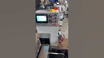 NZDZDS-G300 automatic bamboo skewer counting packing machine