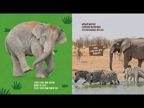 A11 Ppu-ppu The Elephant Is Amazing