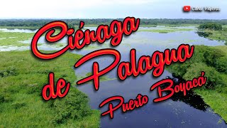 Ciénaga De Palagua - Puerto Boyacá - Canal Viajeros