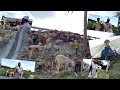 Hontel Sheep Grazing Documentary | Asim Shaikh Ka Sath