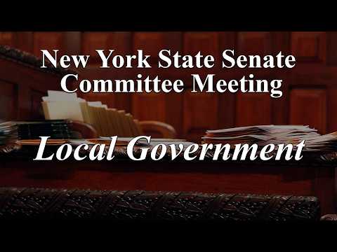 Senate Standing Committee on Local Government - 04/21/2026