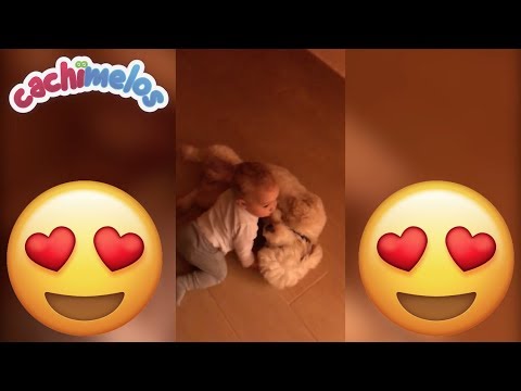 Mira la Adorable forma de este Bebé jugar con su perro - Los Cachimelos