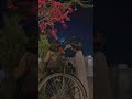 مابيني وبينك وعد حالات واتس