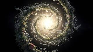 The Unfolding Of Reality