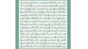 تلاوة سورة الرحمن من الآية (50) حتى الآية (65)