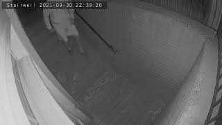 Remote Video Monitoring Visual