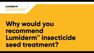 Why would you recommend Lumiderm insecticide seed treatment?
