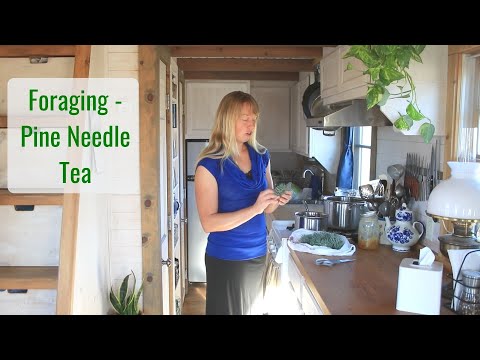 Wild Food Foraging