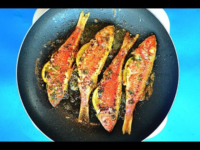 How to fry fish in a pan - Red fish fry - Fish cooking | COOKZILLA