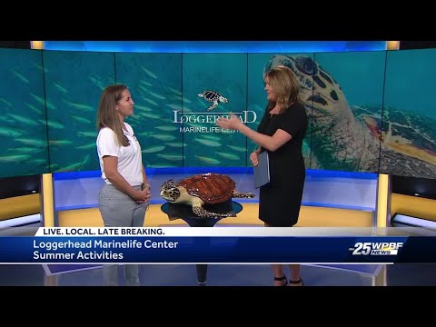 Loggerhead Marinelife Center Activities