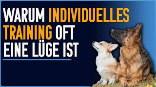 Wieso wollen wir unsere Hunde ständig ändern?!